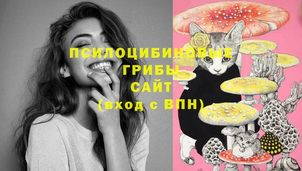 мяу мяу мука Алексин
