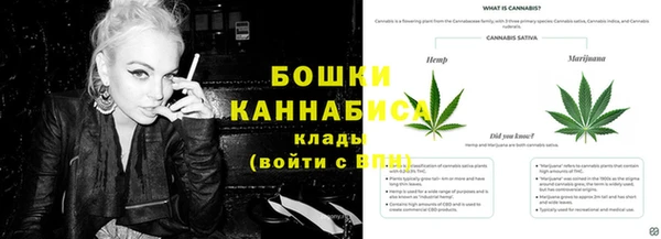 дмт Аркадак