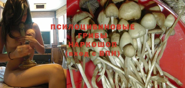 ГАЛЛЮЦИНОГЕННЫЕ ГРИБЫ Алзамай